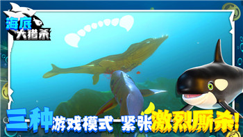 《命运战歌》英雄搭配攻略：掌握关键技巧，打造无敌阵容！