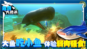 《大航海时代2》阿兰剧情攻略：介绍阿兰冒险旅程与游戏玩法技巧